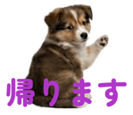 831187702