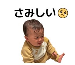 831190558