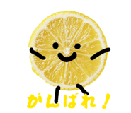 831214956