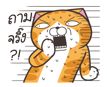 ลายที่ 15