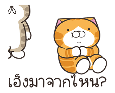 ลายที่ 17