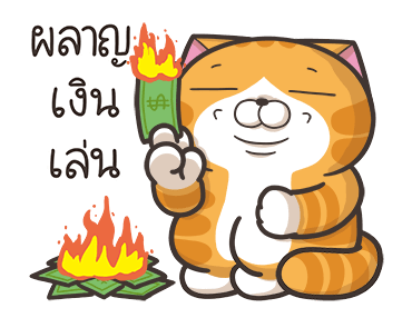 ลายที่ 21