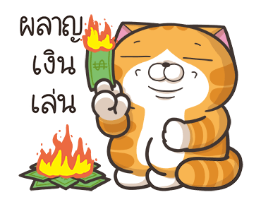 เหมียวซ่า: กล้าที่จะ..! รูปที่ 11