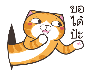 ลายที่ 25