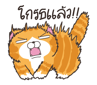 ลายที่ 27