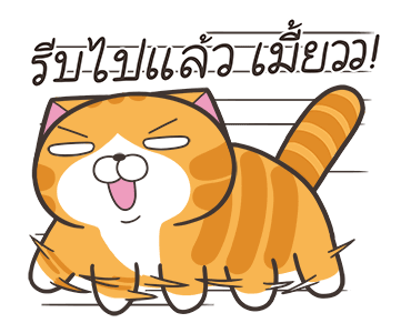 ลายที่ 33