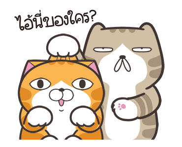 ลายที่ 37