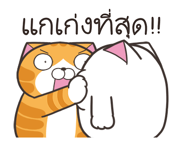 ลายที่ 41