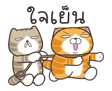 ลายที่ 43