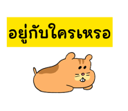 831216447