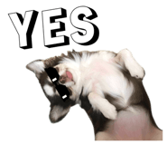 831217494
