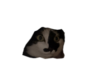 831219655