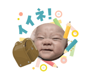 831233186