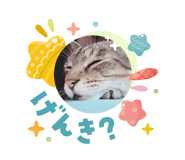 831233192