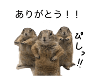 831236048