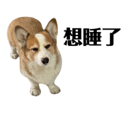 831257713