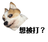 831257717