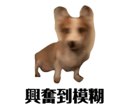 831257718