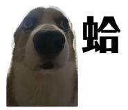 831257725