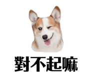 831257729