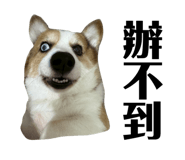 831257734