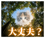 831268119