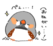 831269532