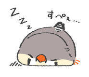 831269551