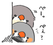 831269559