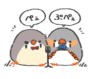 831269560