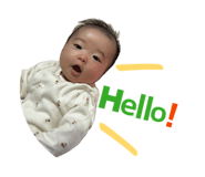 831274684