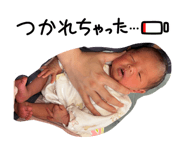 831284706