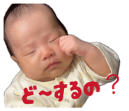 831293131