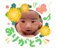 831317060