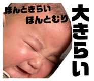 831317214