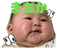 831317217