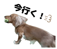831317870