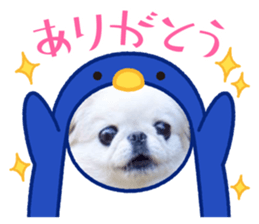 831318164