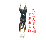 831356793