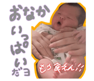 831378446