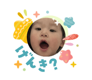 831383648