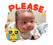831387333