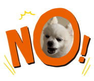 831406233