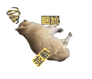 831406235