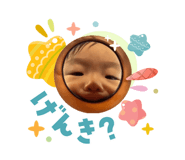 831406827