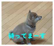 831407130