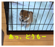831407136