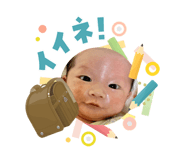 831407556
