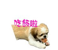 831408992