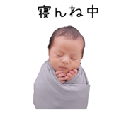 831427480